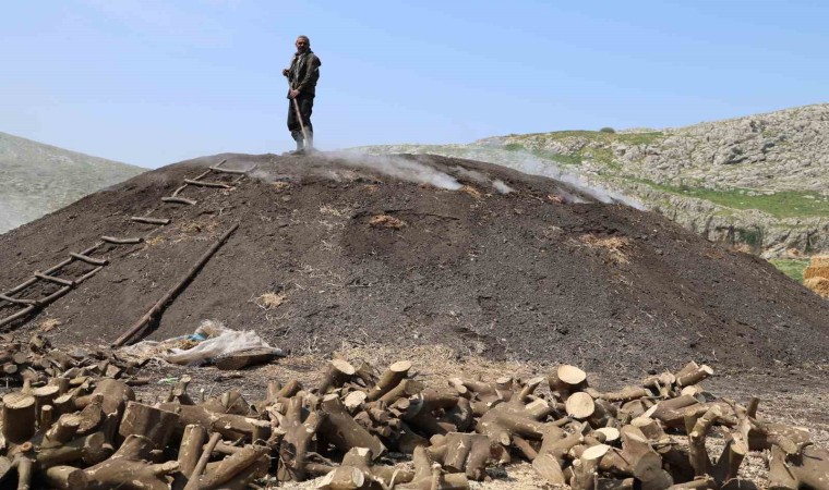 Çukurova sıcağında narenciye odunları mangal kömürüne dönüşüyor