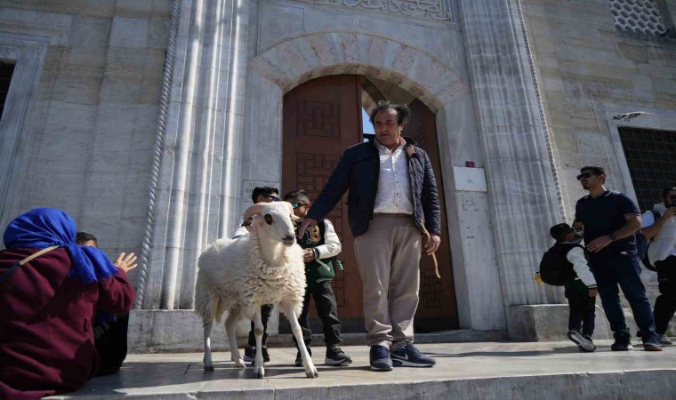 Eminönünde yanında gezdirdiği koç ilgi odağı oldu