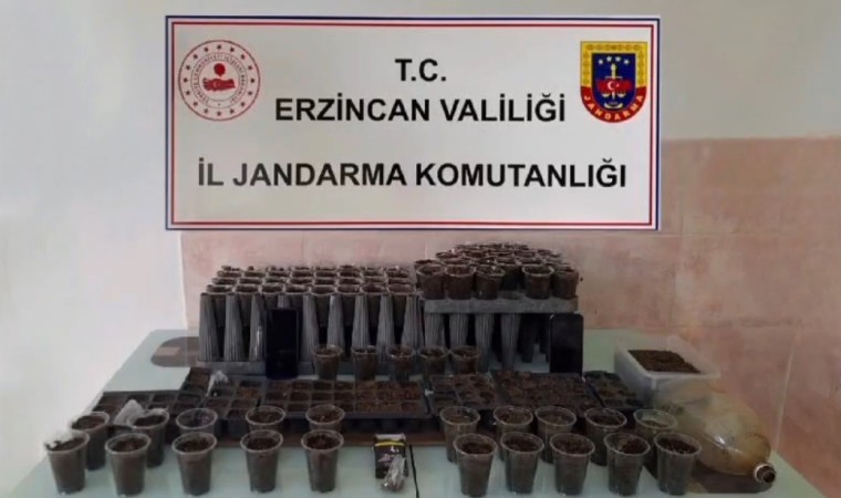 Erzincanda uyuşturucu operasyonu: 1 kişi tutuklandı