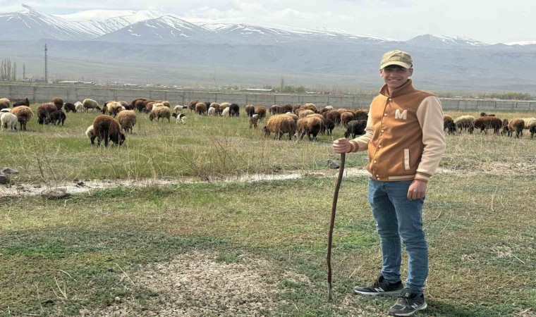 Iğdırda hayvanlar meraya çıktı