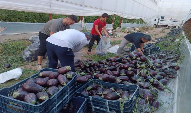 İsraf olacak ürünleri bağışladılar