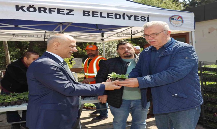 Körfezde mezarlıklarda çiçek dağıtıldı