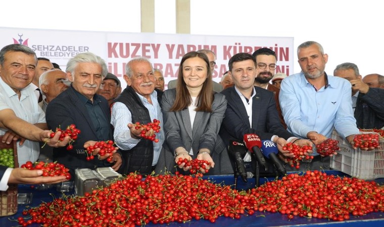 Kuzey yarımkürenin ilk kirazının hasat edildiği Manisada üretici umutlu