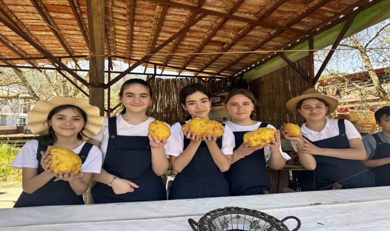 Marmarisli öğrencilerden hasat zamanı