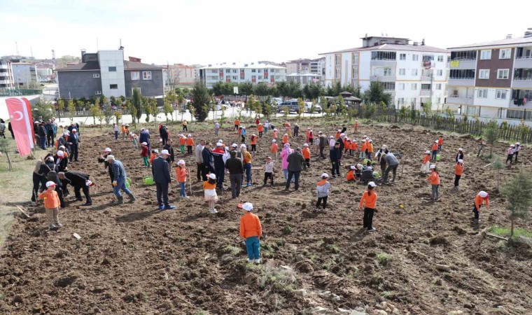 Okuldaki Çiftlik Projesi: Meyve fidanları okul bahçesine dikildi