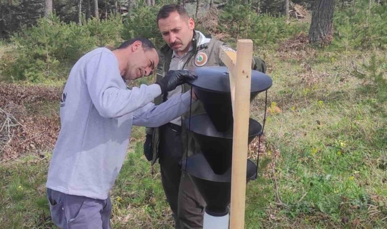 Orman zararlılarına karşı biyoteknik mücadele