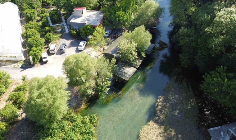 Portakal Çiçeği Karnavalı coşkusu Kozanı da sardı