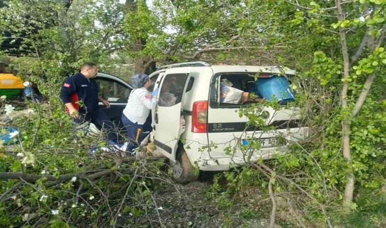 Tokatta virajı alamayarak ağaca çarparak durabildi