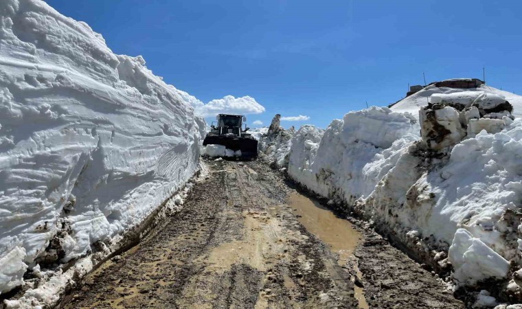 Yüksekovada 5 metreyi bulan karda yol açma çalışması