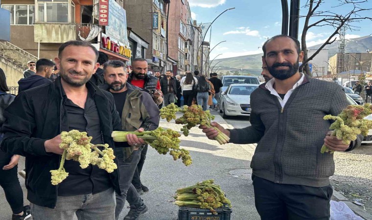 Yüksekovada yayla muzunun destesi 100 TLden satışa çıkarıldı