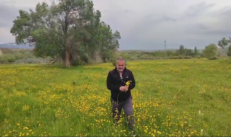 2 bin 300 rakımda mayıs çiçekleri görsel şölen oluşturdu