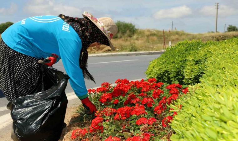 Alanyada 571 bin 250 adet mevsimlik çiçek toprakla buluştu