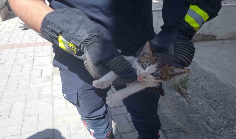 Alanyada motosikletin içine sıkışan kedi 15 dakikalık çalışmayla kurtarıldı