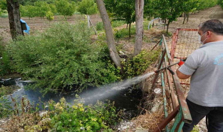 Altıeylül Belediyesinden sivrisinek ve haşerelere karşı ilaçlama