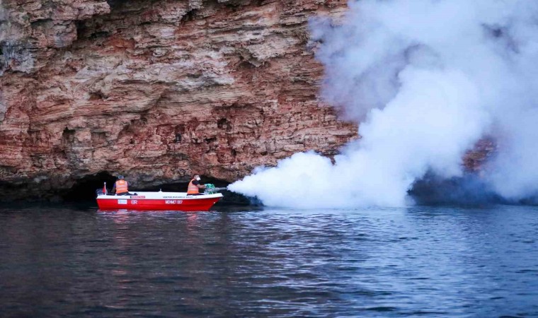 Antalya Büyükşehir Belediyesinden bin 600 personelle vektörel mücadele