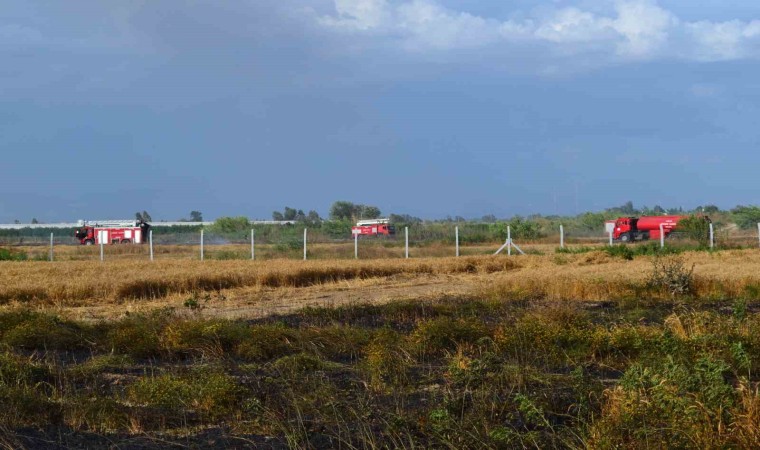 Antalyada 250 dekarlık buğday tarlası hasat yapılamadan kül oldu