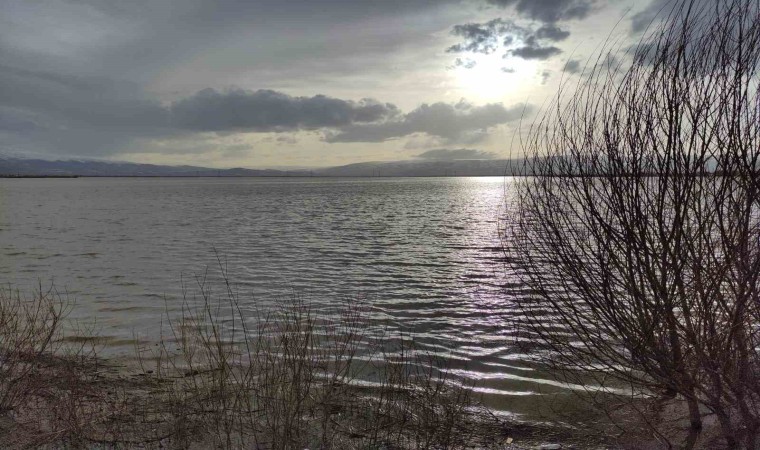 Ardahanda Kura Nehri taştı, sahilleri aratmayan görüntüler ortaya çıktı