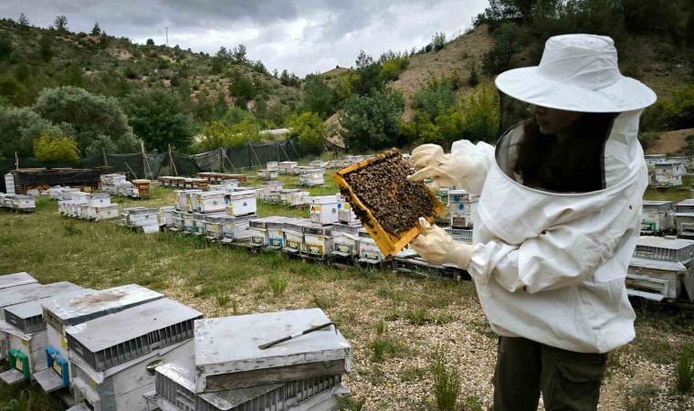 Arıköyde arıcılık eğitimi alan genç kız böcek korkusunu yendi