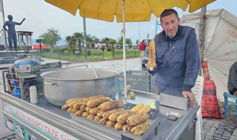 Bandırmada süt mısırı tezgâhlarda yerini aldı