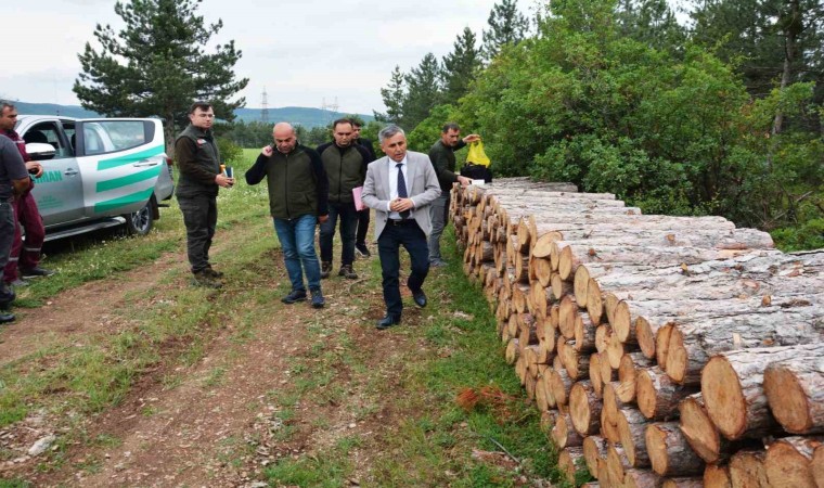 Bölge Müdürü Erdal Dingil, Tavşanlı ve Simavda incelemelerde bulundu