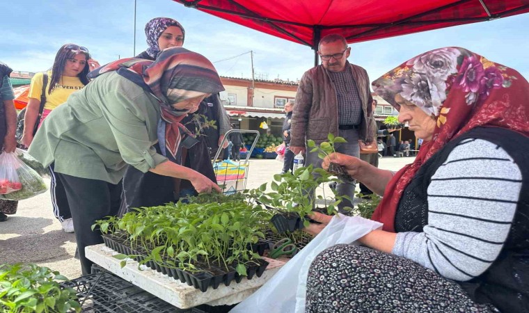 Bolu Belediyesinden üreticilere yerli fide desteği