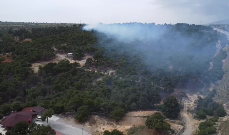 Denizlide piknik ateşi yangına yol açtı