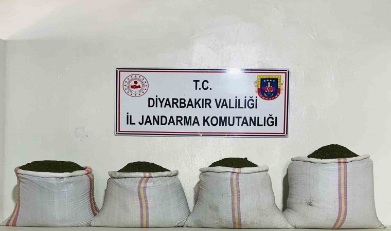 Diyarbakırda 34 bin 500 kök kenevir ve 112 kilo esrar ele geçirildi