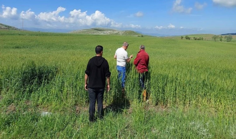 Dolu ve selden etkilenen köylerde zarar tespit çalışması başlatıldı