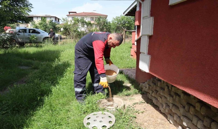 Düzcede haşere ile mücadele sürüyor