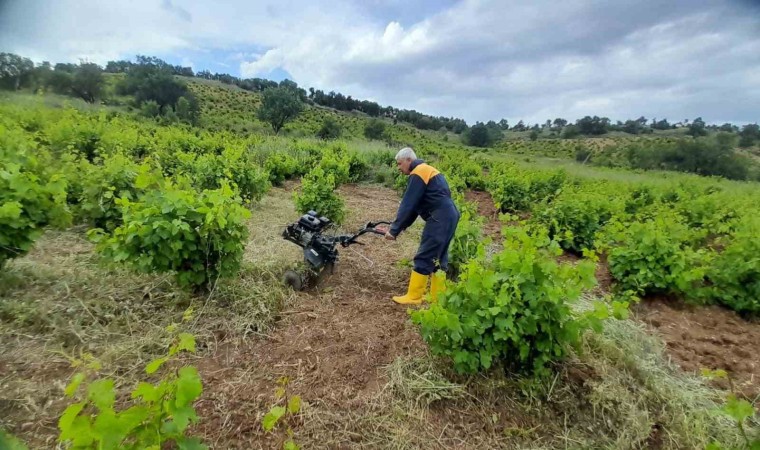 Kulpta bağcılıkta çapa makinesi dönemi