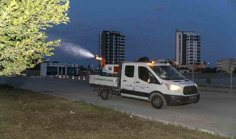 Mersinde haşere ve larva gündüz, uçkun ilaçlaması ise gece yapılıyor