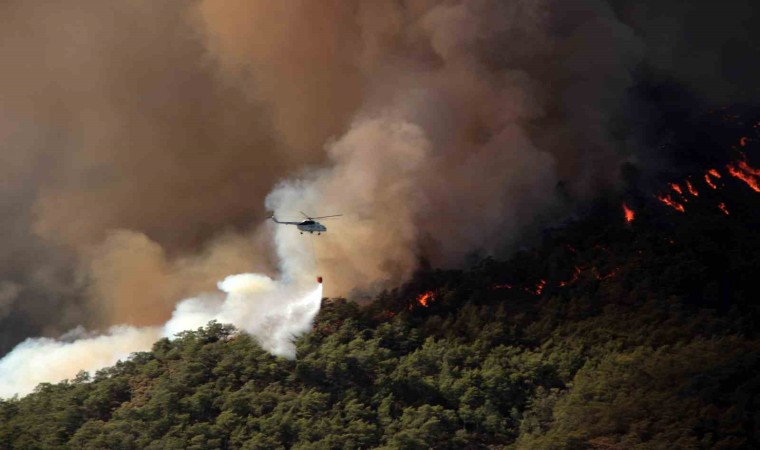 Muğlada 31 Ekime kadar ormanlara giriş yasaklandı