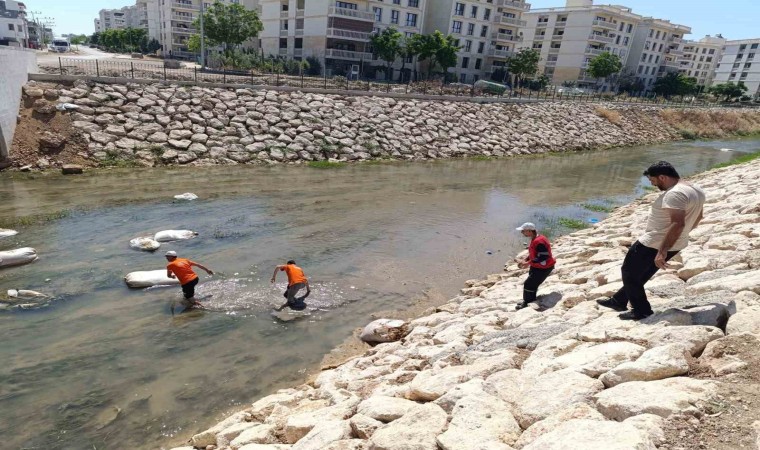 Nusaybinde Çağ Çağ Deresine atılan çöpler temizlendi