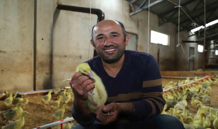 Orduda Büyükşehrin ‘alım garantisi üretmeye teşvik etti