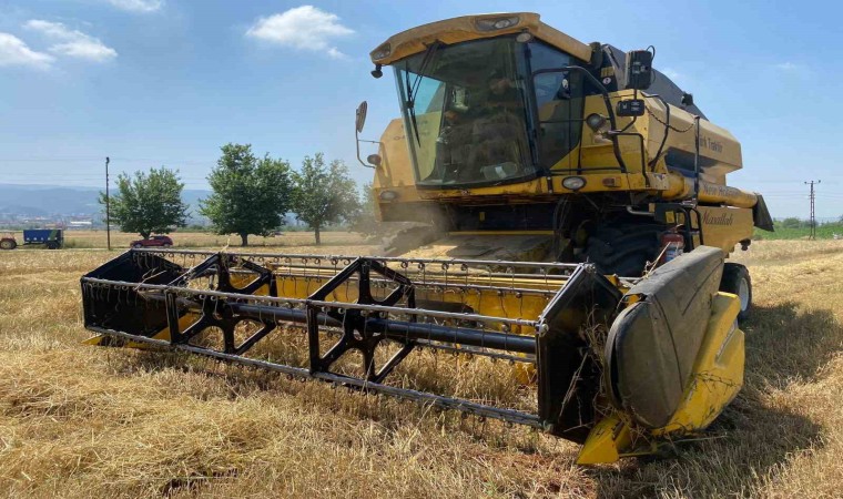 Osmaniyede yüz güldüren buğday hasadı