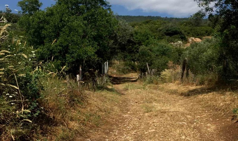 Şehzadeler Belediyesi, 5 yıldır kapalı olan yolu yeniden ulaşıma açtı