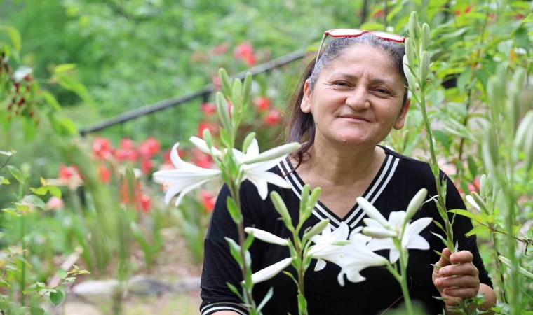 Tokattan getirdi, Kozan yaylalarında üretime başladı