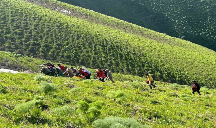 Vanda ot toplarken kayalıklardan düşen şahıs kurtarıldı