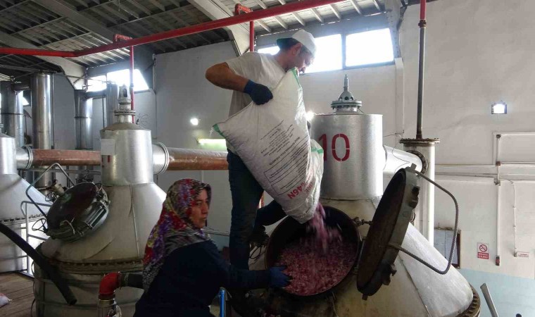 4 tondan sadece 1 litre çıkıyor, litresi 400 bin TLyi buluyor