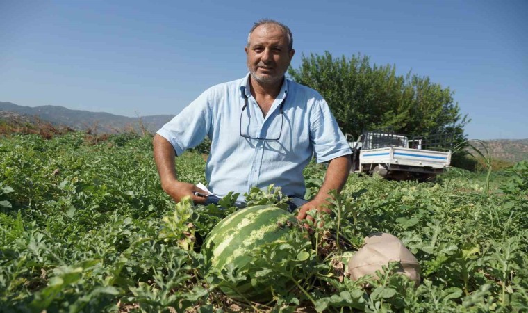 Adananın sıcağı Aydına yaradı