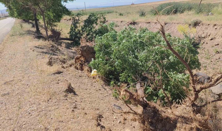 Adilcevazda toz fırtınası hayatı felç etti