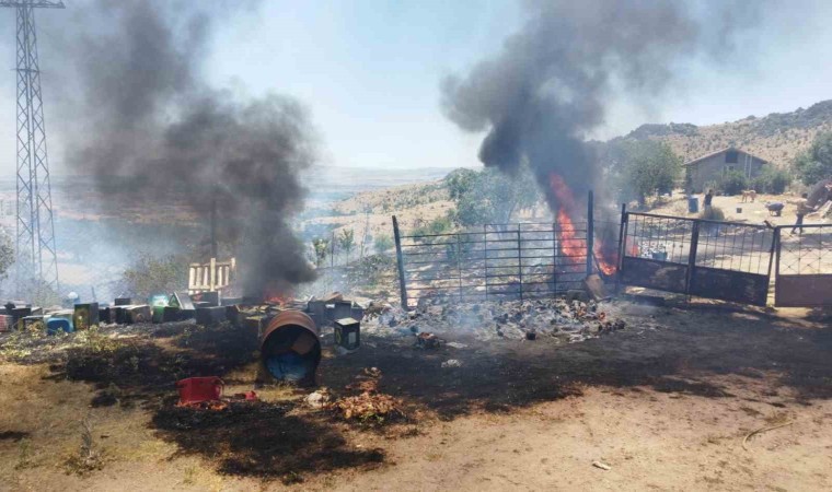 Afyonkarahisarda ormanlık alanda çıkan yangın söndürüldü