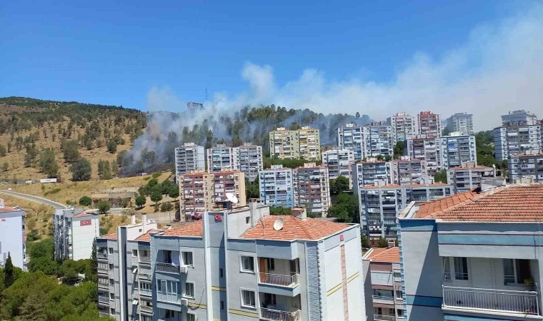 Aliağada orman yangını