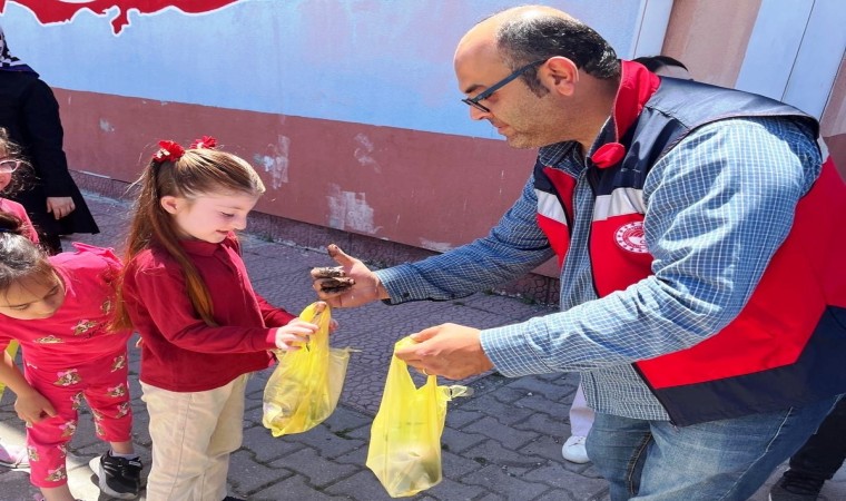 Altıntaşta ilkokul öğrencilerine 300 adet sebze fidesi dağıtıldı