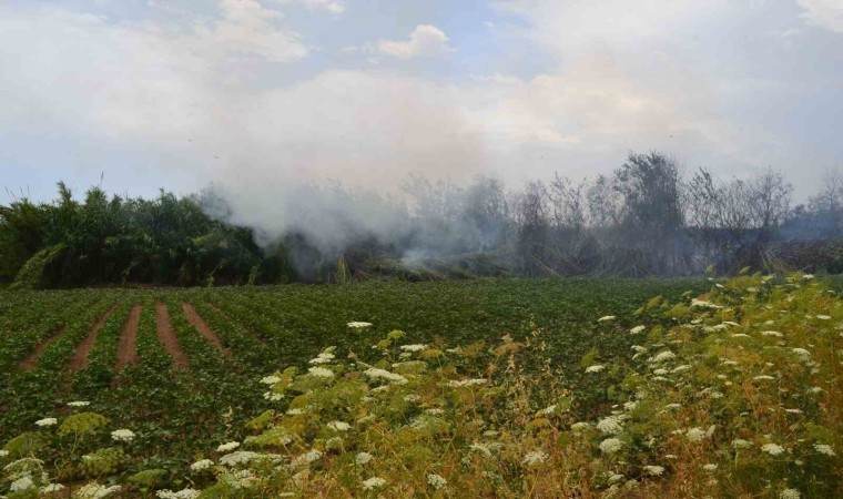 Antalyada çıkan yangın ağaçlara sıçradı, vatandaş korkuya kapıldı