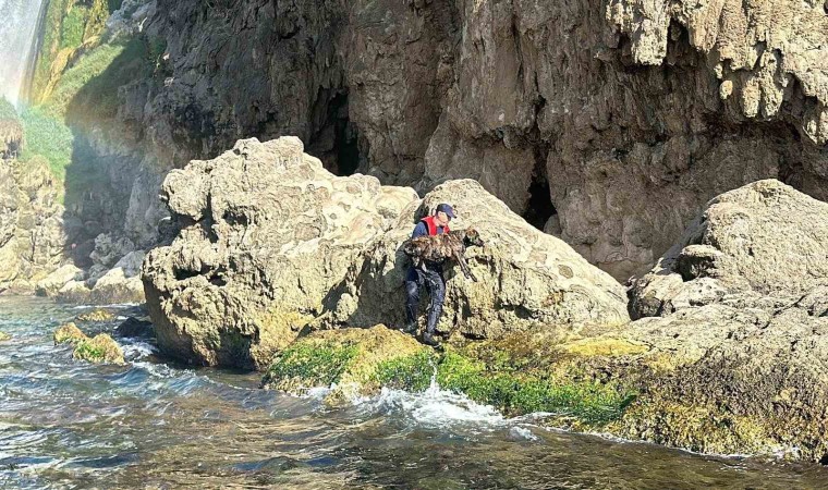 Antalyada denize düşen köpeği Sahil Güvenlik ekipleri kurtardı