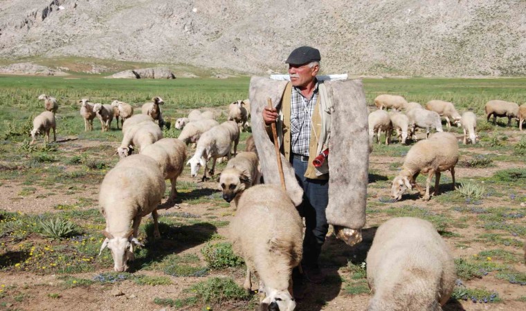 Antalyada Yörüklerin yayla serüveni başladı