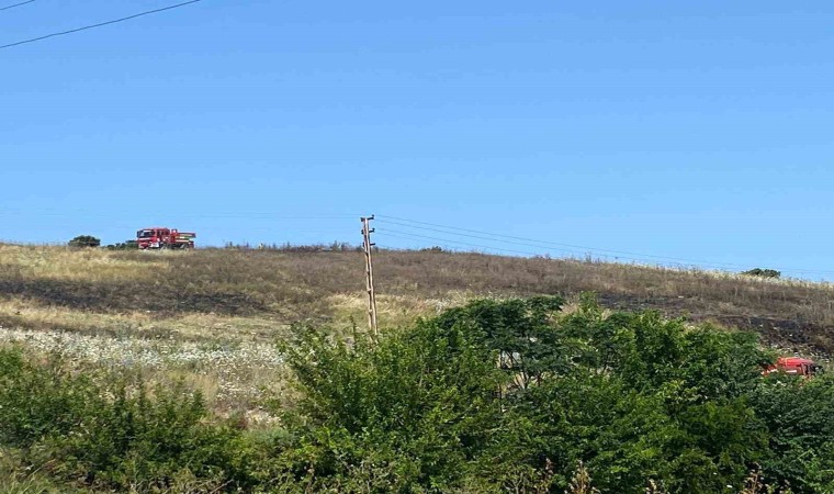 Arsuzda ot ve çalı yangını, ormanlık alana sıçramadan söndürüldü