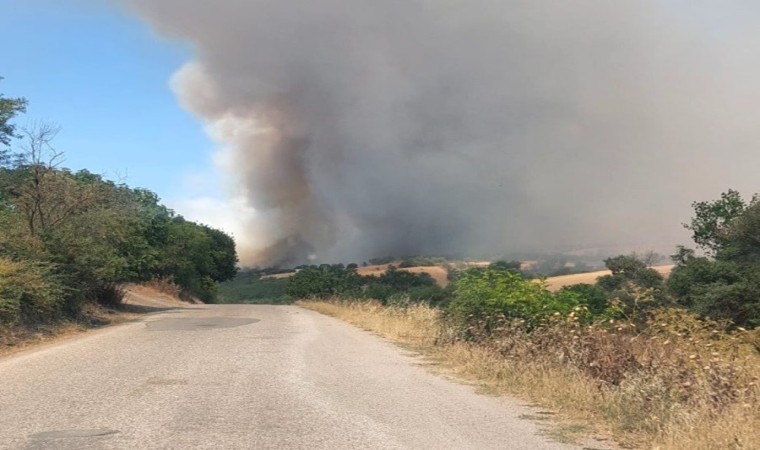 Balıkesir Bigadiçte arazi yangını