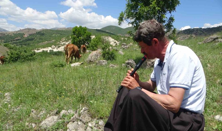 Bin 400 metre rakımdaki sürülerini flüt eşliğinde otlatıyor